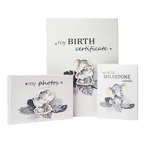 Cute Unisex Baby Elephant Grey Quirky and Fun Set of 24 Milestone Cards