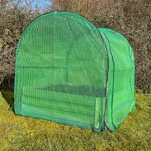 Metal Raised Vegetable Bed & Reinforced Grow Tunnel (100cm x 100cm)