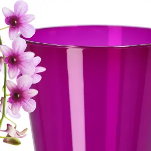 Plant Orchid Pot Plastic  Gloss Oval Planter 12 cm Purple transparent