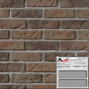 Brick Slip Samples - Cambridge Earth 15