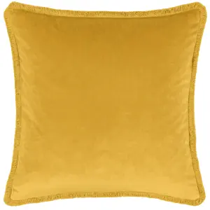 Paoletti Freya Velvet Fringed Feather Filled Cushion