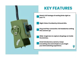 Green Feathers Wired Connection 1080p HD Camera and Small Wooden Bird Box Starter Pack