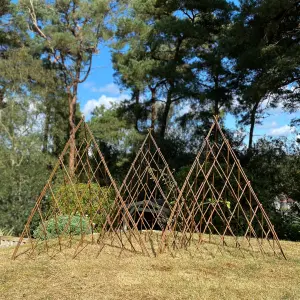 Set of 3 Expanding Willow Garden Obelisks (1.2m) Ideal for Climbing Plants