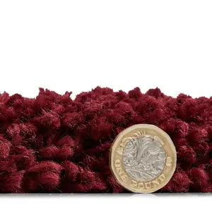 Ruby Plain Shaggy Modern Plain Easy to Clean Rug Soft For Dining Room -120cm X 170cm