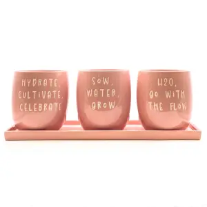 Set of 3 Pink Slogan Ceramic Planters with Tray