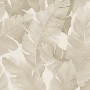 Galerie The New Design Book Beige Palm Leaf Wallpaper Roll