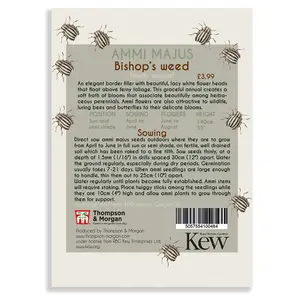 Bishop's Weed Promo New Kew Range 1 Seed Packet