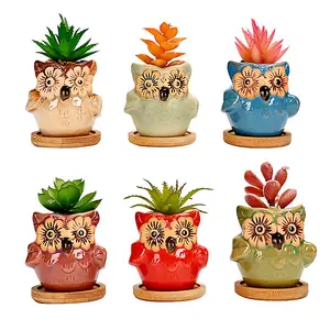 simpa 6PC Flower Eye Owl Ceramic Plant Pots with Bamboo Base