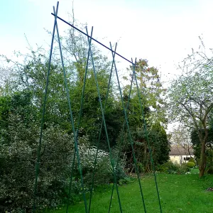 GardenSkill Easy Grow Runner Bean Frame & Climbing Plant Support Garden Trellis 1.2x2.4m H