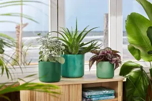 Elho The Ocean Collection 16cm Round Plastic Plant Pot in Pacific Green