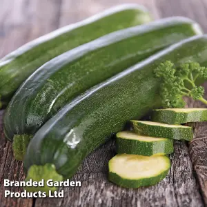 Courgette (Zucchini) 1 Packet (25 Seeds)