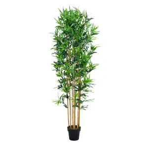 Blooming Artificial - 180cm / 6ft Fake Oriental Bamboo