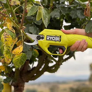 Ryobi ONE+ Secateurs 18V RY18SCA-120 2.0Ah Kit