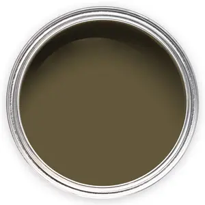 Annie Sloan Wall Paint 120ml Olive