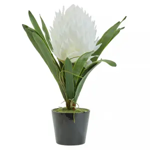 Fiori White Tropical Plant Artificial Plant Foliage