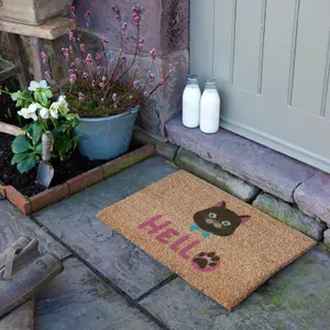 Cat Hello Coir Doormat (60 x 40cm)