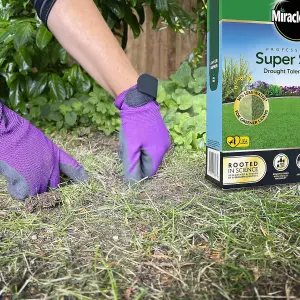 Miracle-Gro Professional Super Seed Drought Tolerant Lawn 1kg