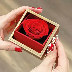 Magical Rose Gift Box - Jewellery Box