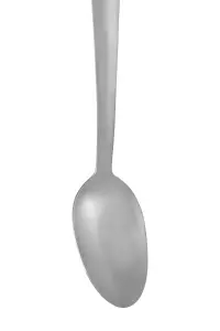 Maison by Premier Hera Brushed Finish Spoon