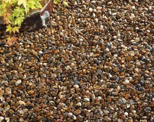 Kelkay Oyster Pearl Pebbles Premium Aggregates Pebbles Bulk Bag 750kg