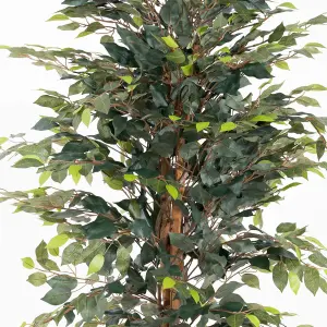 Blooming Artificial - 150cm / 5ft Artificial Ficus Tree