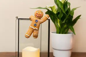 Pot Buddies Christmas Gingerbread Man Plant Pot Hanger