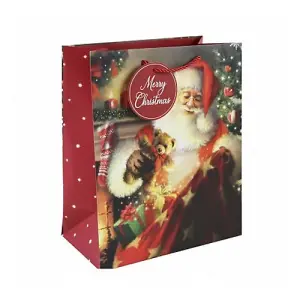 Eurowrap Traditional Santa Claus Christmas Gift Bag (Pack of 12) Red/Multicoloured (M)