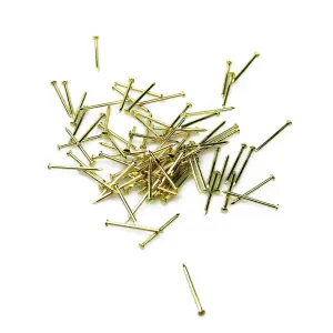 SCREWD 25mm Brass-Plated Semi-Round Head Nails for Crafts, DIY, Hobbies and Construction - Pack of 240