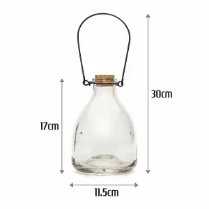 Large Wasp Catcher Glass Bottle Traditional Outdoor Garden Pest Control Hanging Insect Trap Single 1pc