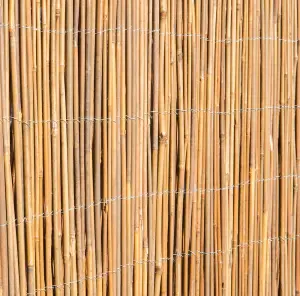 Primrose Bamboo Cane Natural Garden Screening Roll Privacy Fencing Screen W400cm x H100cm