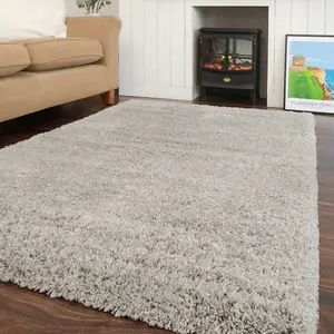 Super Soft Silver Shaggy Area Rug 160x230cm