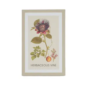 Arthouse Botanical Neutral Tones Mixed size Canvas art, Set of 6