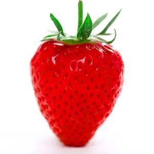 Fragaria Hapil Strawberry Plant - Sweet Berries, Compact Growth (15-30cm Height incl Pot)