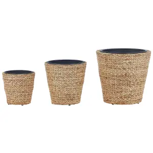 Set of 3 Plant Pots PLAKA Wicker Natural