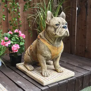 Pair of Life Size French Bulldog Statues