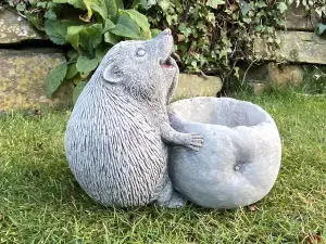 Lovely Small Hedgehog Stone Pot