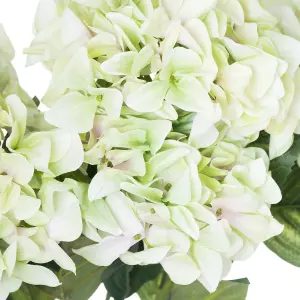 Hill Interiors Shabby Hydrangea Bouquet Artificial Flower Green (One Size)