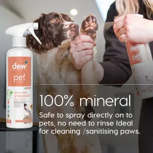 Dew Products Pet All In One Antibacterial 500ml x 2