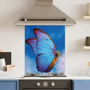 Premium 60cm x 75cm 6mm  Glass Blue Butterfly Kitchen Splashback Various Sizes Toughened - 60 cm