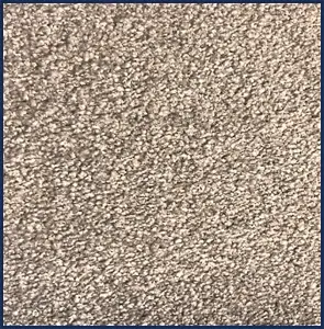 600 Regalia Brown Felt Backing Carpet, 10mm Twist Pile Carpet, Heavy Duty Carpet for Home-11m(36'1.1") X 4m(13'1")-44m²