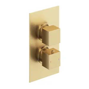 Zoia Gold Double Outlet Thermostatic Valve with Square Controls & Slide Rail Kit, Showerhead & Arm