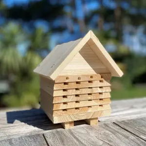 Wooden Solitary Bee Hive Hotel Habitat & Hanging Butterfly House