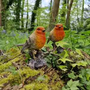 Robin on a Tree Stump Garden Ornament (Set of 2)