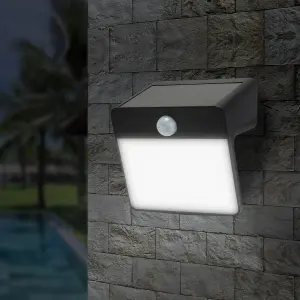 GoodHome Black Solar-powered Cold white Integrated LED Floodlight 150lm