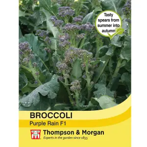 Broccoli TZ 7035 Purple Sprouting 1 Seed Packet (40 Seeds)