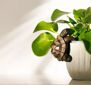 Garden Plant Pot Hanger - Tortoise