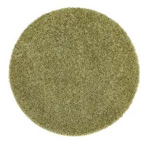 Green Modern Shaggy Easy to Clean Plain Rug for Living Room, Bedroom, Dining Room - 67 X 300cm (Runner)