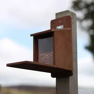 Squirrel Feeder - Plywood - L29 x W13 x H28 cm