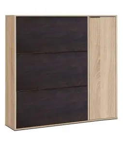 Dark Brown Shoe Cabinet with 4 Doors