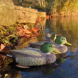 Mallard Duck Hunting Shooting Floating Decoy Pond Decoration (Set of 6)